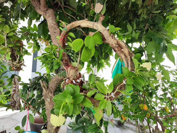 Others 3, NEW WAVE HOMESTAY, Phan Thiết