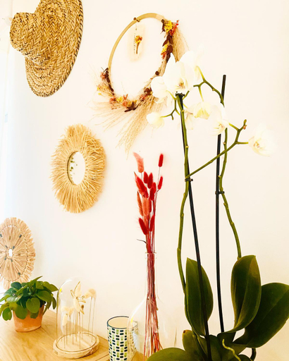 Food & Drinks 5, villa Luberon, Vaucluse