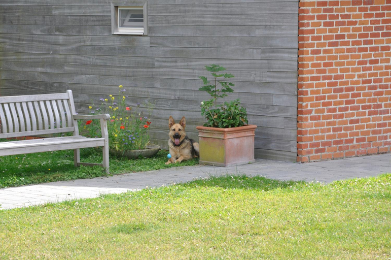 Others 3, B&B Pierre-Marie, West-Vlaanderen