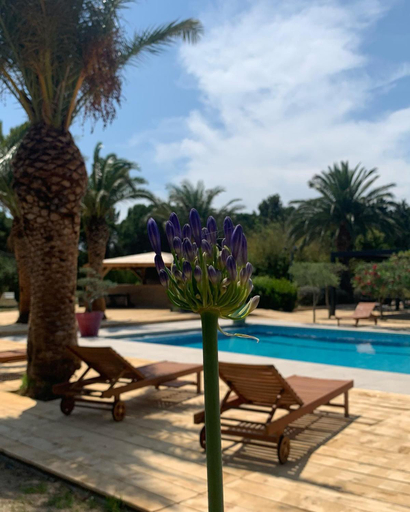Sport & Beauty 5, Tropic Hotel, Pyrénées-Orientales