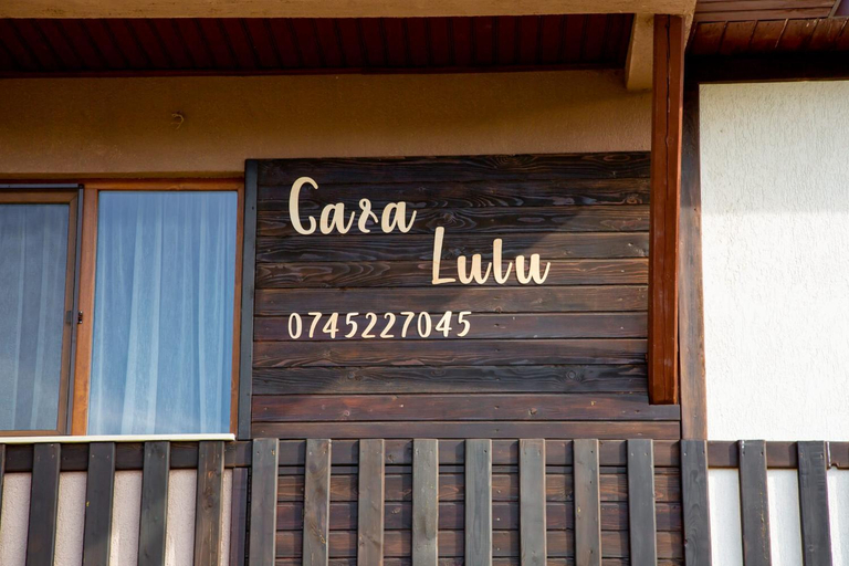 Others 3, Casa Lulu, Dorna Candrenilor