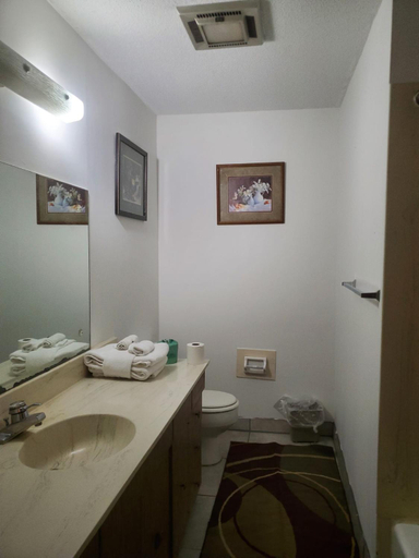 Bathroom 4, Timber Ridge Lodge Gatlinburg, Sevier