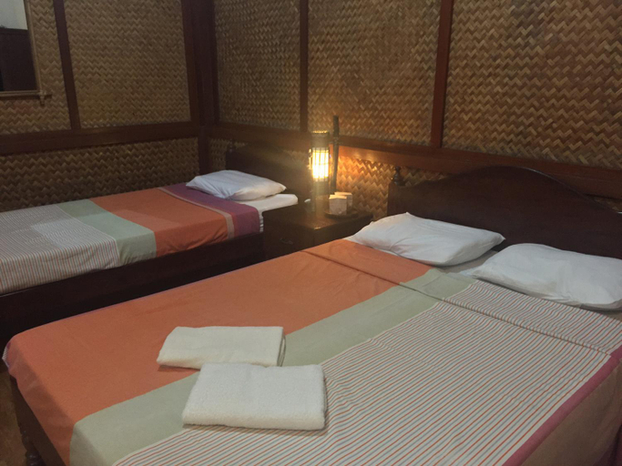 Others 3, Pagdayon Traveler's Inn, Puerto Princesa City