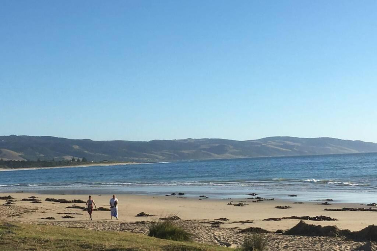 Others 1, Apollo Blue Oceanview Unit 1- B Free WIFI, Colac-Otway - South