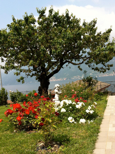 Others 5, B&B Cherry En Rose, Como