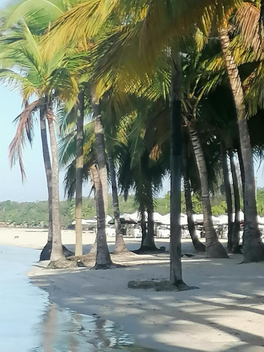 Others 2, Apartment Monocal in Boca Chica, Boca Chica