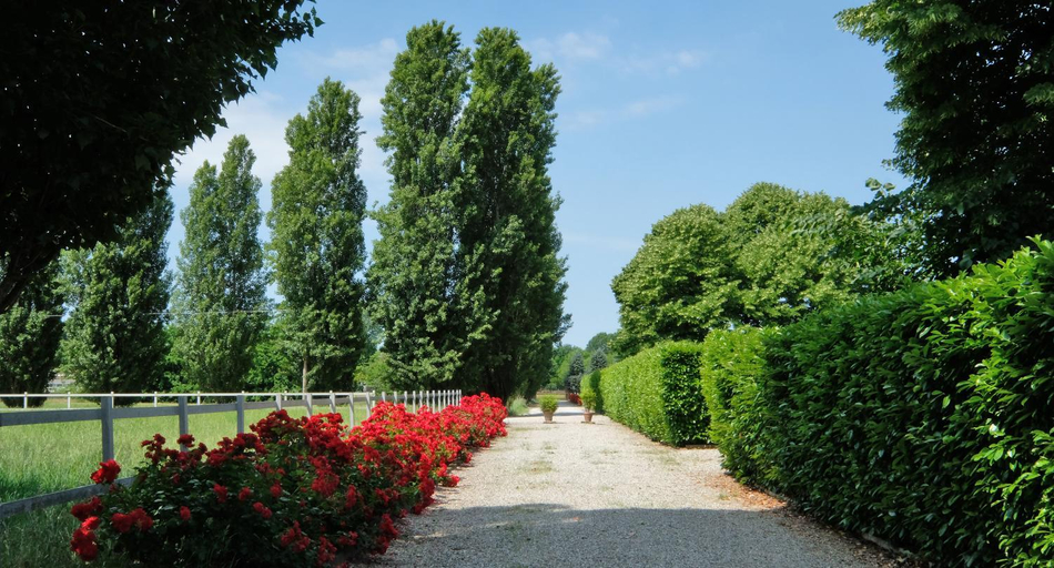 Surrounding environment