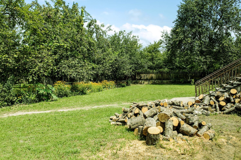 Others 4, Daraselia Family guesthouse, Zugdidi