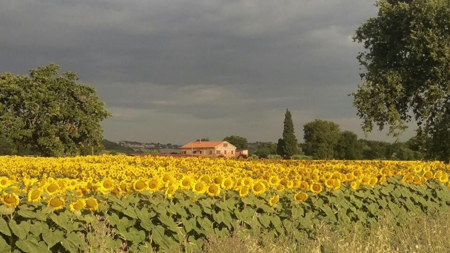 Others 4, Conero Ranch, Macerata