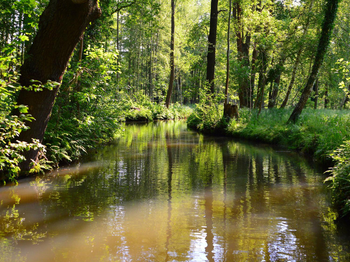 Others 5, Am Waldrand Spreewald, Spree-Neiße