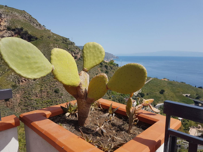 Others 4, Elisa's House, Messina