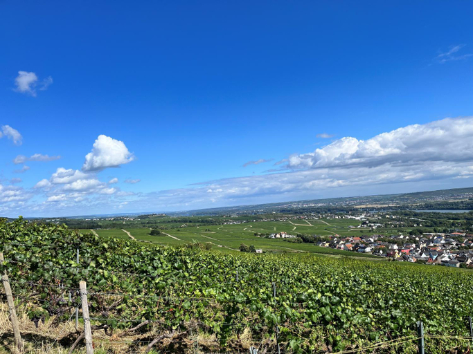 Others 5, Haus Neugebauer, Gästehaus Garni, Rheingau-Taunus-Kreis