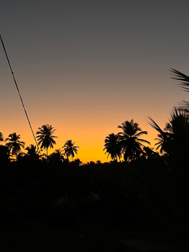 Others 3, Stay In Woods, South Goa