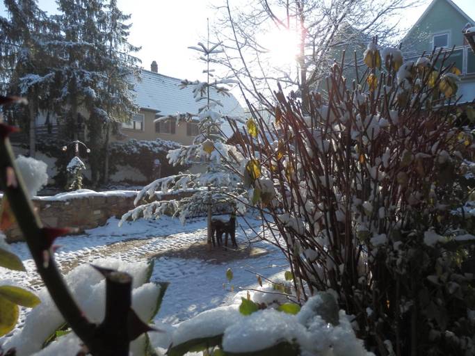 Others 4, Gasthof Lowen, Heitersheim, Breisgau-Hochschwarzwald