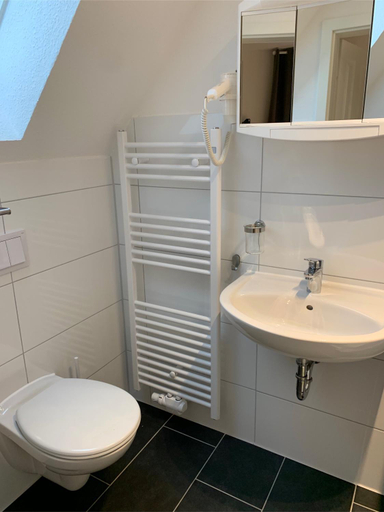 Bathroom 3, Bernsteinsucher, Aurich