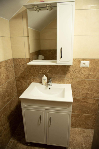Bathroom 2, Casa Florus, Rozavlea