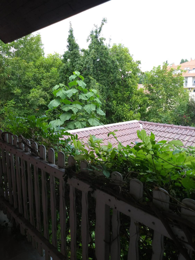 Others 2, Balogh vendeghaz, Szeged