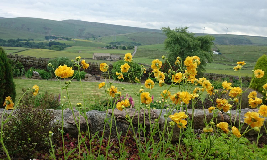 Others 4, Parkin House Guest House, Calderdale