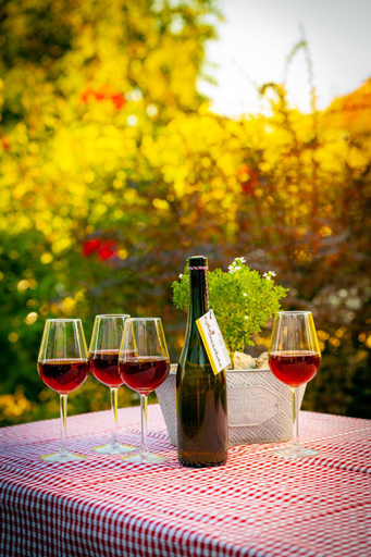 Food & Drinks 5, Kuca Jankovica, Vrnjačka Banja