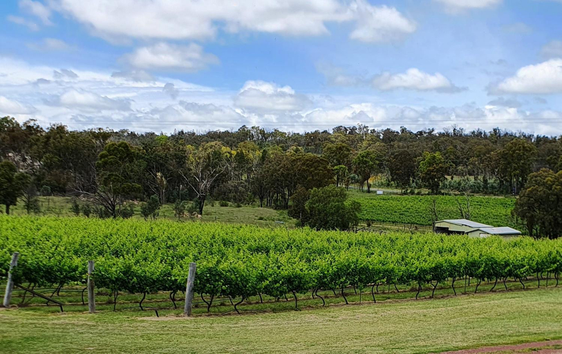 Others 3, Just Red Wines Cabins, Stanthorpe
