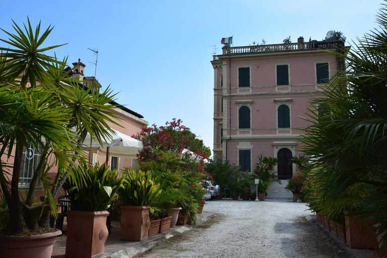 Exterior 3