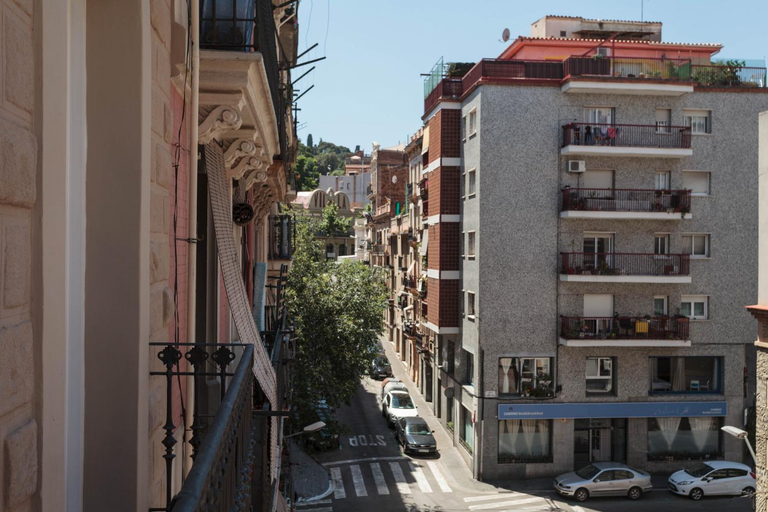 Others 5, Radas, Barcelona