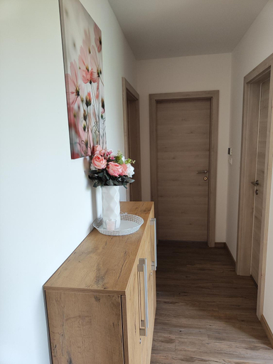 3, Family apartment Moravske Toplice, Moravske Toplice