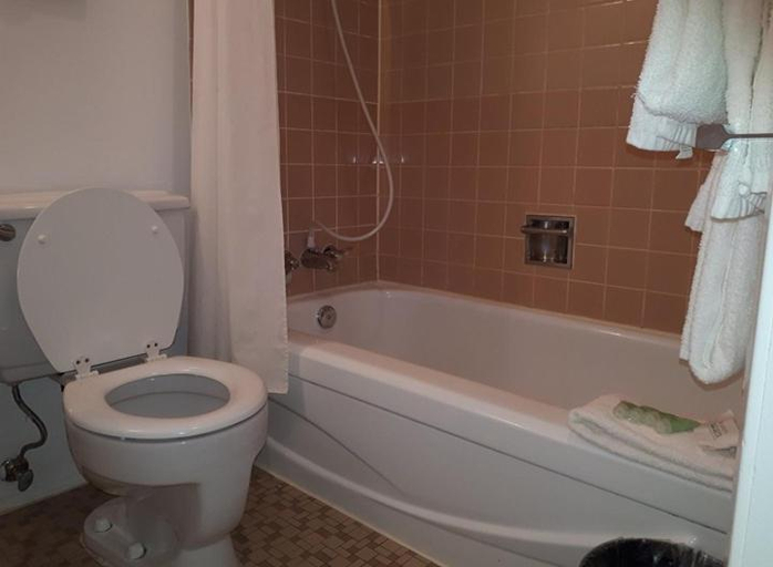 Bathroom 4, Falcon Nest Motel, Cowichan Valley