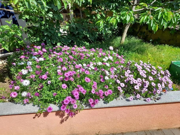 Others 4, Apartmani Nedjeljko, Mali Lošinj