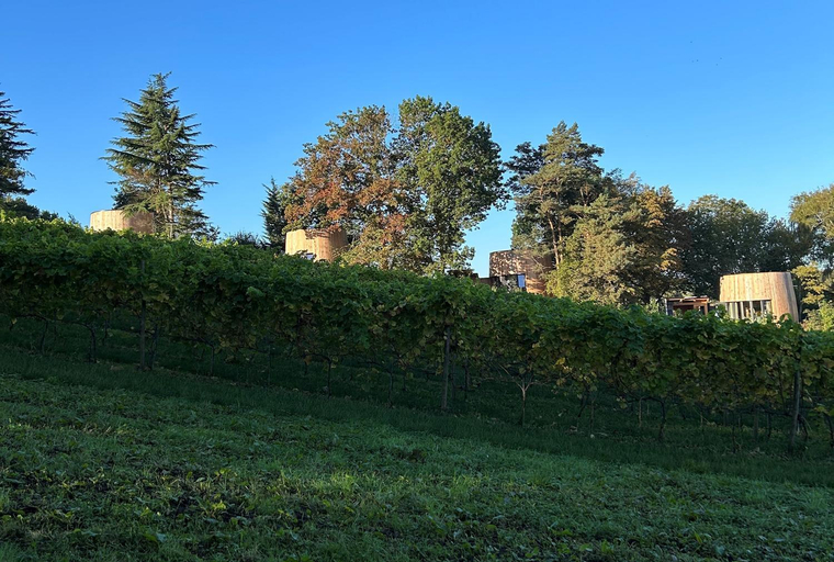 Others 5, Cabanes avec jacuzzi les pieds dans la vignes, Brabant Wallon