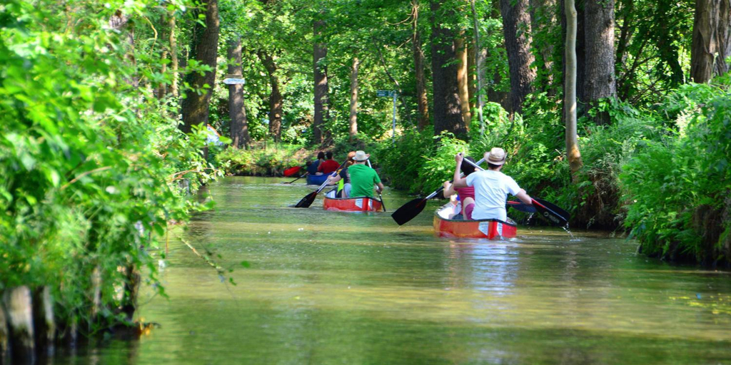 Others 3, Am Waldrand Spreewald, Spree-Neiße