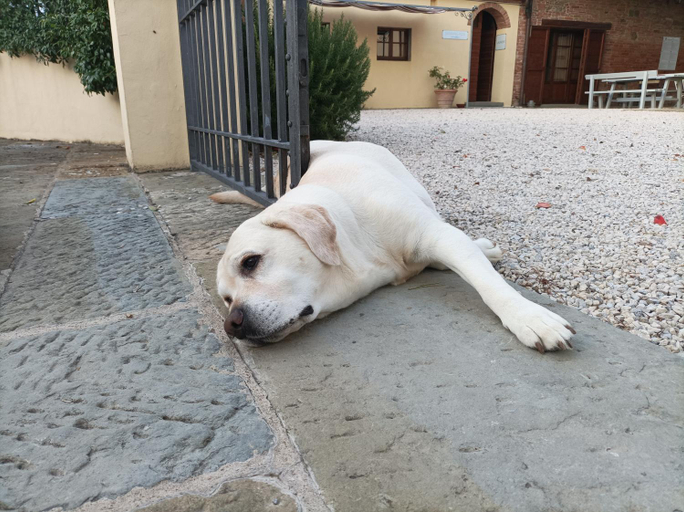 Others 4, Podere Il Belvedere su Cortona, Arezzo