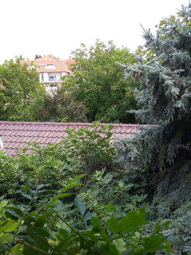 Others 3, Balogh vendeghaz, Szeged