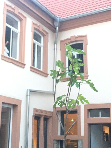 Boutique-Ferienwohnung im alten Weinhaus Moser, Bad Dürkheim