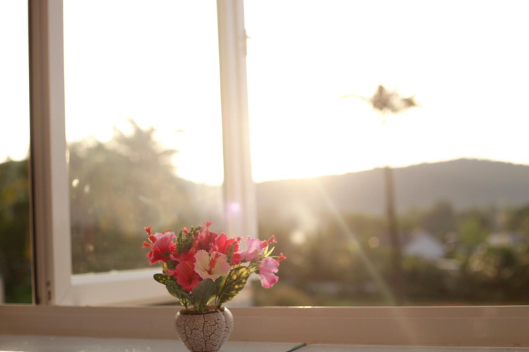 Scenery 7