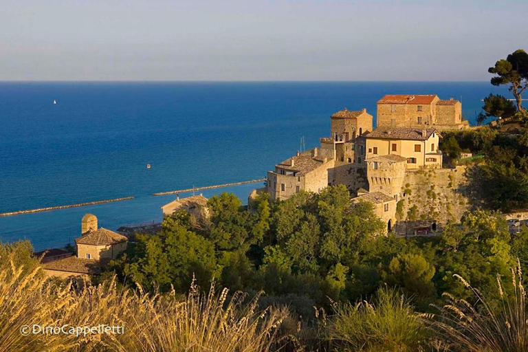Others 2, Acquamarina, Ascoli Piceno