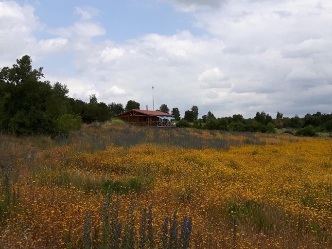1, Hostal La Maravilla, Talca