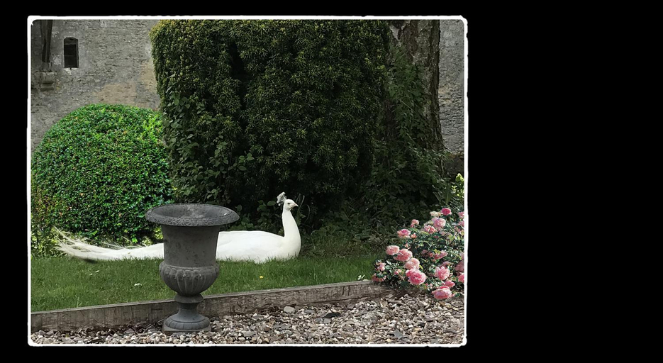 Others 3, Manoir de Livet, Calvados