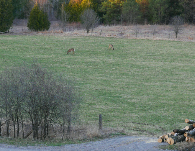 Others 4, Our Valley View Bed & Breakfast, Durham