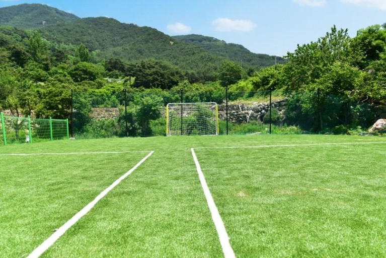 5, Miryang Pet Friendly Theme Pool Pension, Cheongdo