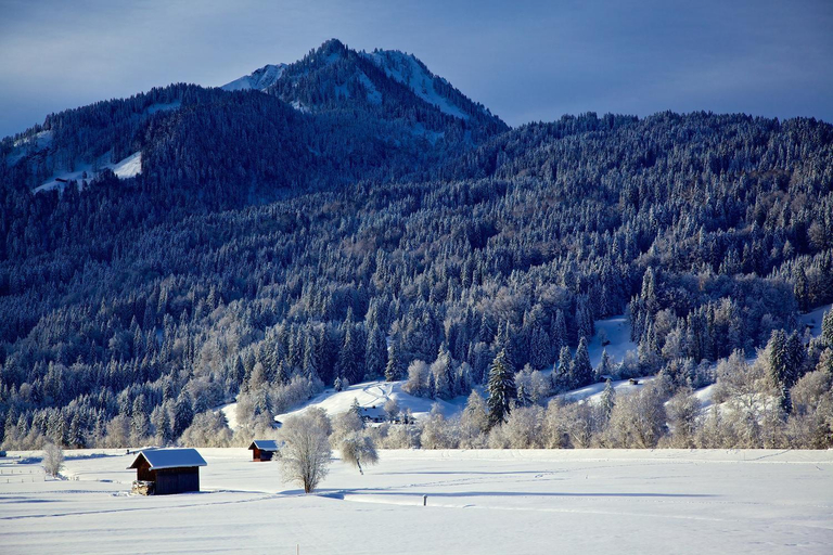 Others 2, Gastehaus Weller, Oberallgäu