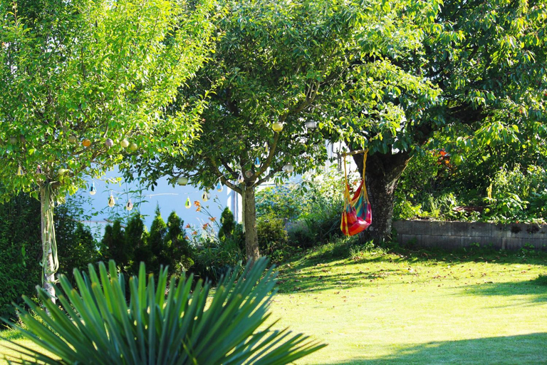 Exterior & Views 5, Chez Sven - Studio 'Le Petit', Wasseramt