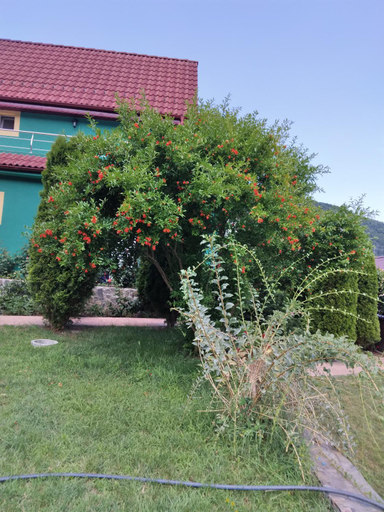 Others 2, Casa Lucian, Dubova