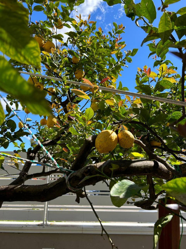 Others 5, B&B La Ginestra, Salerno