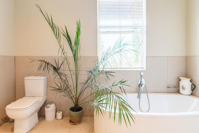 Bathroom 4, Guinevere Guest Farm, Cape Winelands