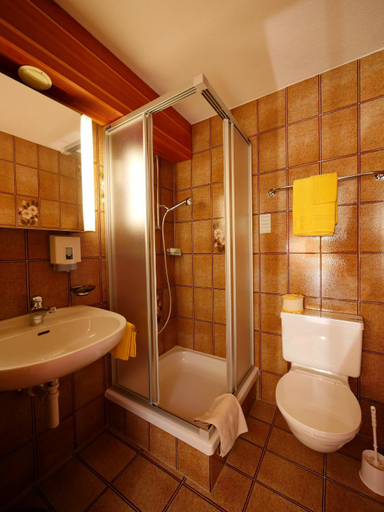 Bathroom 4, Hotel Alpenblick, Visp