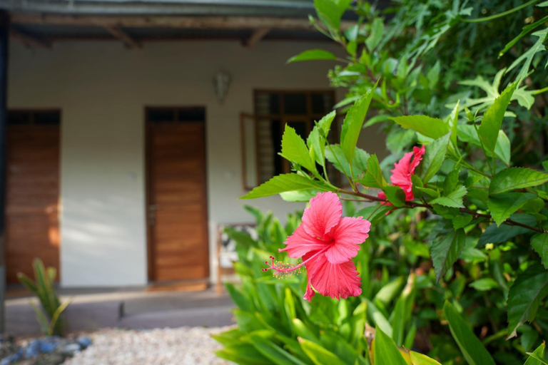 Exterior & Views 1, Kendwa Breeze Bungalows, Kaskazini 'A'
