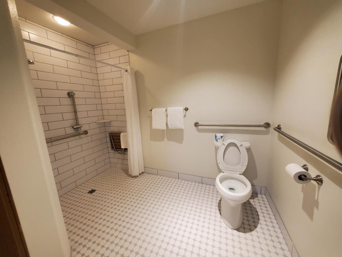 Bathroom 4, Alpine Inn of Pagosa Springs, Archuleta