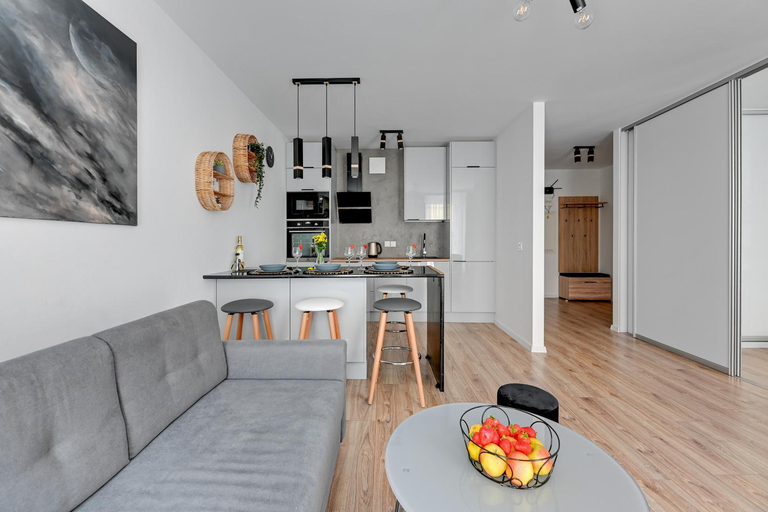 Others 5, Apartament Wilcza Gdansk TriApart, Gdańsk City