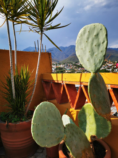 Others 3, Casa Donaji, Del Centro